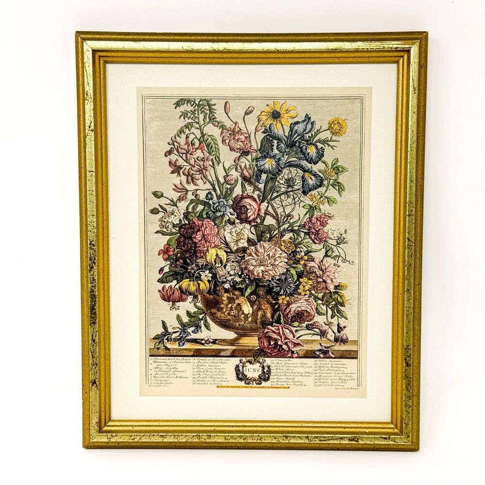 Vintage Robert Furber June Botanical Floral Print Framed Gold Wall Art 9x11